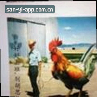 周婷